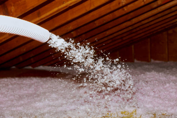 Best Garage Insulation Installation  in Lawton, OK