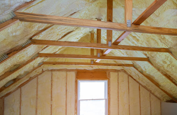 Best Insulation Removal  in Lawton, OK