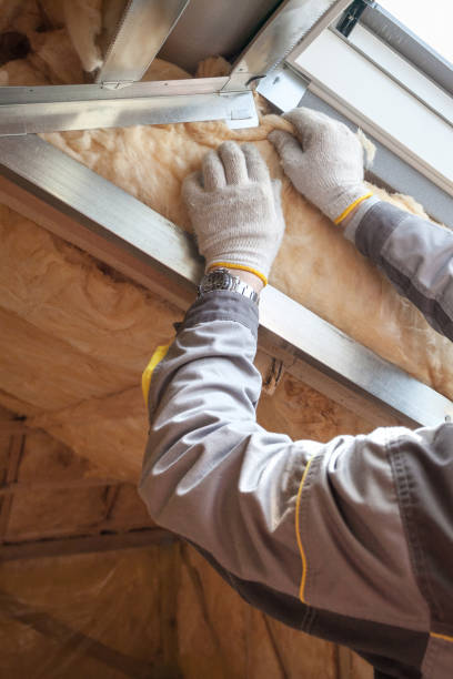Best Attic Insulation Installation  in Lawton, OK